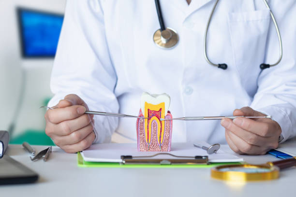 Best Weekend Emergency Dentist in Goodland, IN